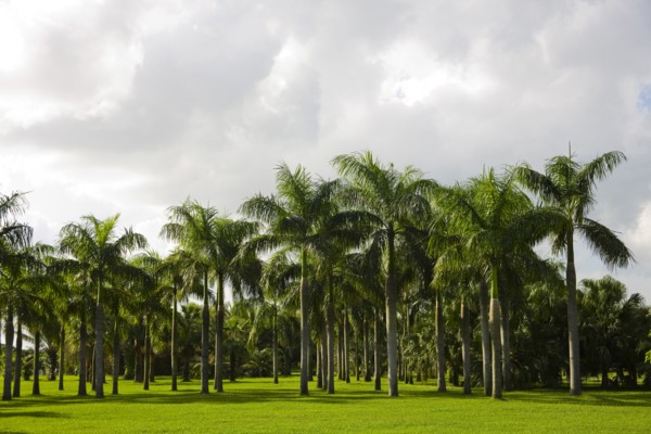Haikou, Wanlv Garden