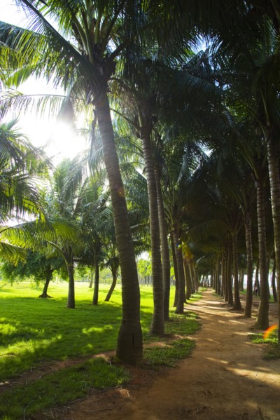 Haikou, Wanlv Garden