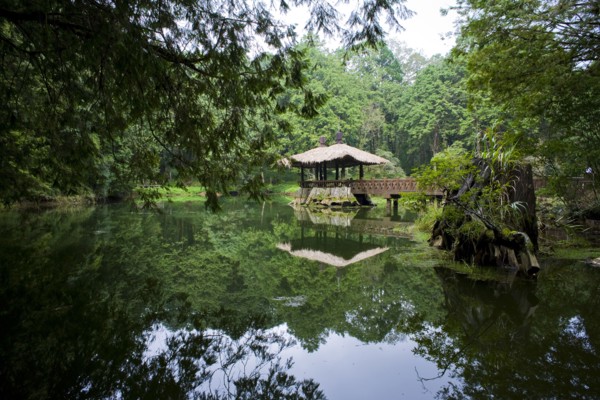 Taiwan, Ali, Botanical Garden,
