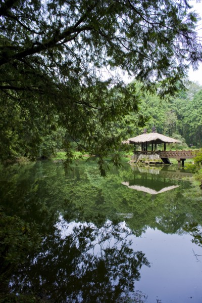 Taiwan, Ali, Botanical Garden,