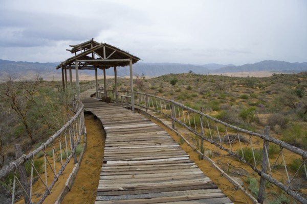 Ningxia