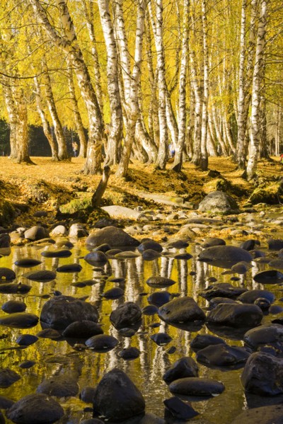 Xinjiang Province, Aletai,