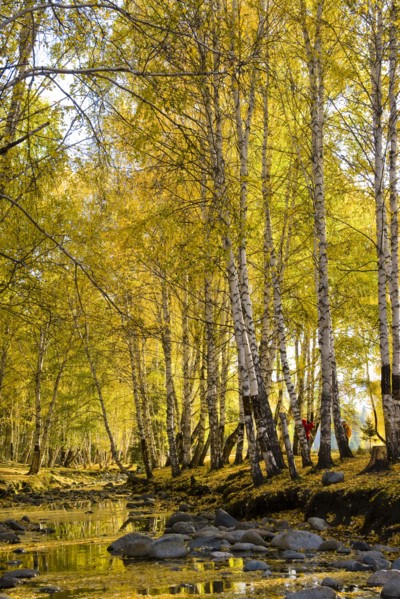 Xinjiang Province, Aletai,
