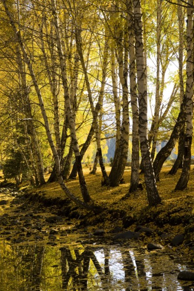 Xinjiang Province, Aletai,