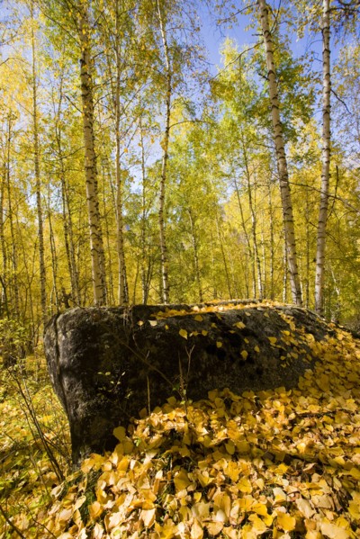Xinjiang Province, Aletai,