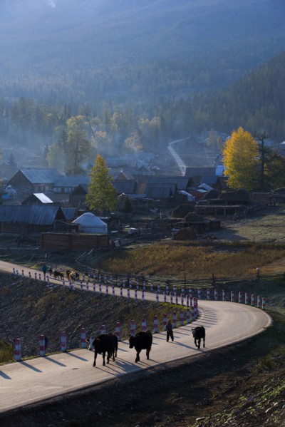 Altay Xinjiang, White Haba,