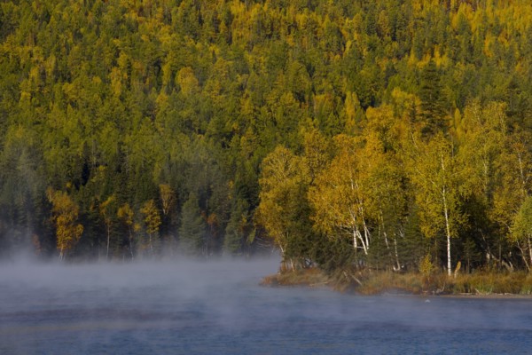Altay Xinjiang, Kanas,