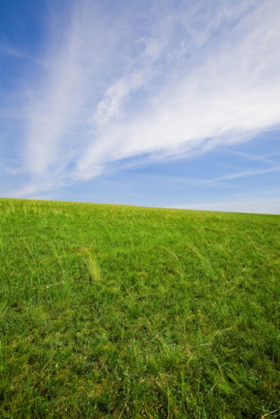 Bashang grassland in Inner Mongolia