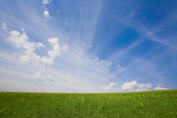 Bashang grassland in Inner Mongolia