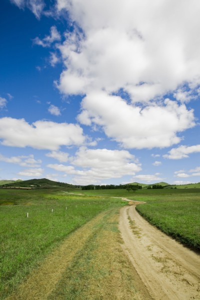 Bashang grassland in Inner Mongolia