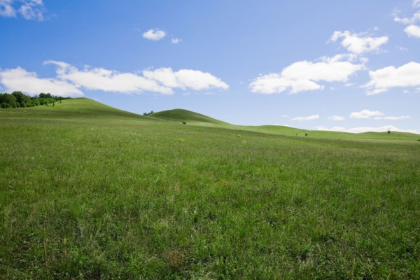 Bashang grassland in Inner Mongolia