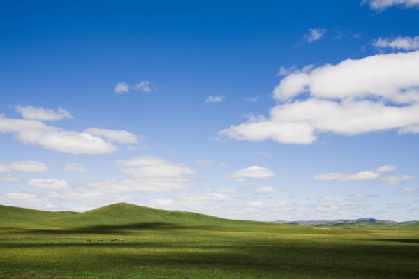 Bashang grassland in Inner Mongolia