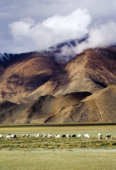 Tibet