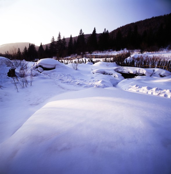 Snow Scene