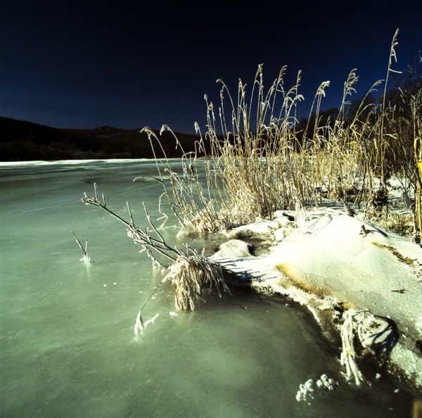 Snow Scene