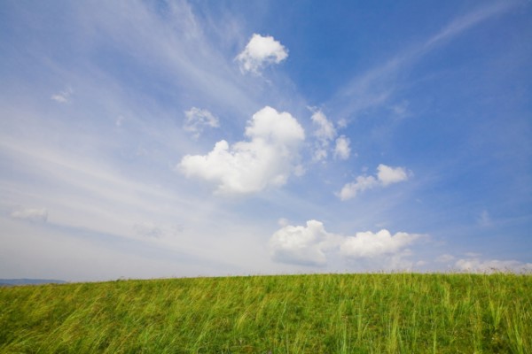 Bashang grassland in Inner Mongolia