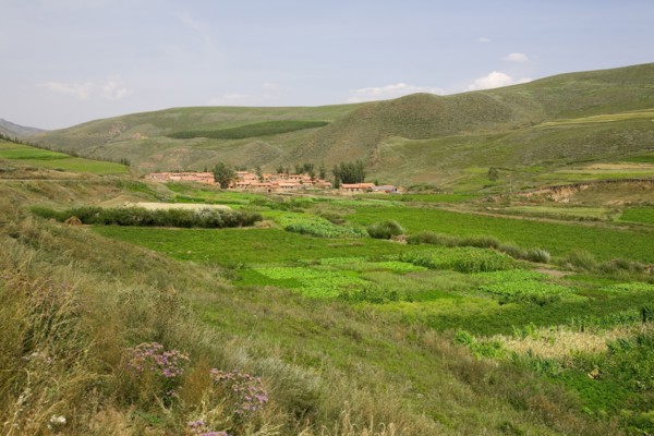 Bashang grassland in Inner Mongolia