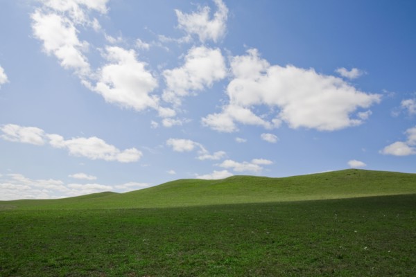 Bashang grassland in Inner Mongolia