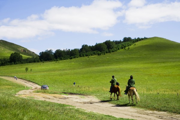 Bashang grassland in Inner Mongolia