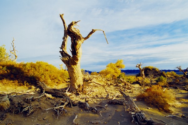 Xinjiang