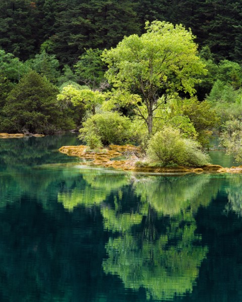 Sichuan Province,Jiuzhaigou