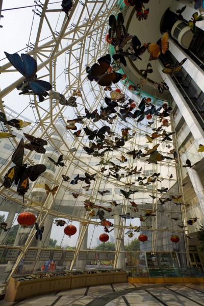 Shanghai Children's Activity Center