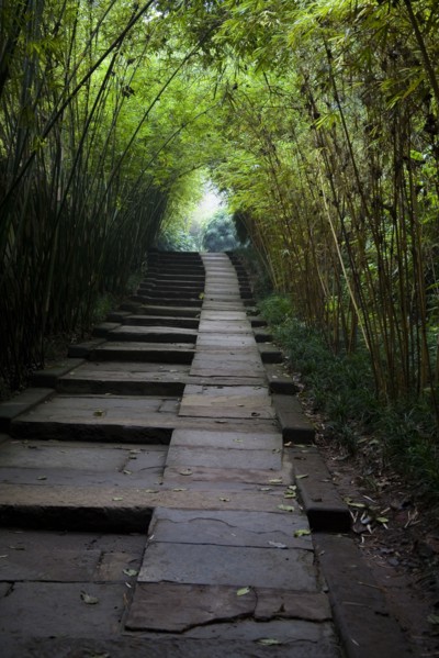 Leshan Giant Buddha