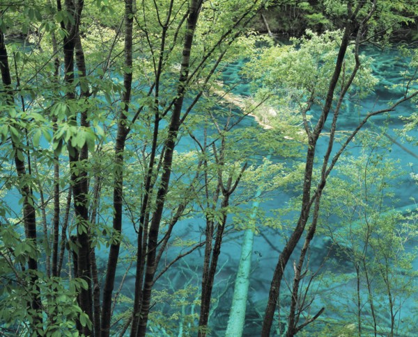 Sichuan Province, Jiuzhaigou