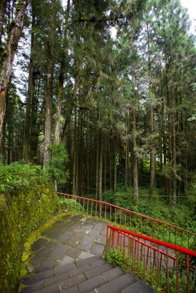 Taiwan, Ali, Botanical Garden,