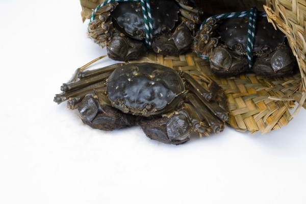 Crab