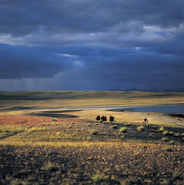 Tibet