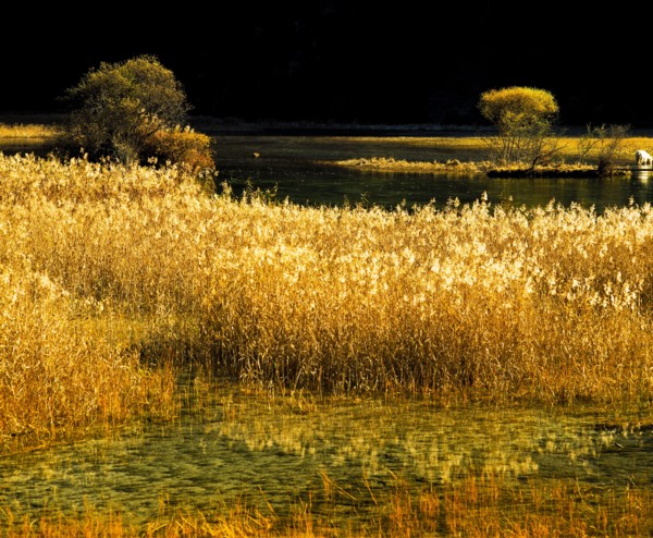 Land