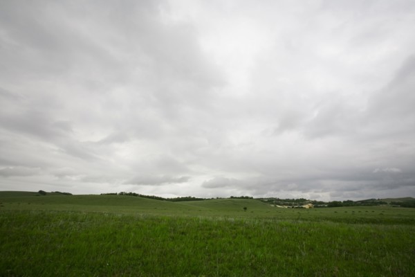Bashang grassland in Inner Mongolia