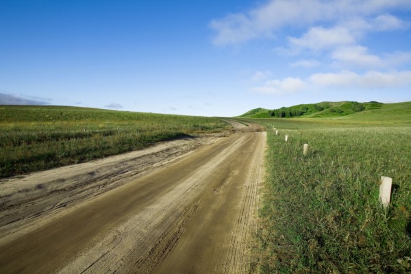 Bashang grassland in Inner Mongolia