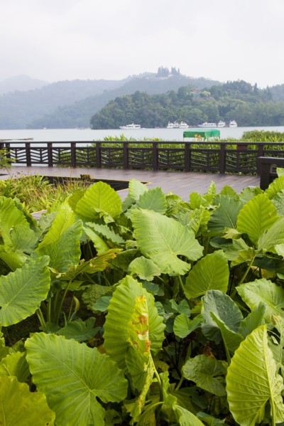 Taiwan, Sun Moon Lake,