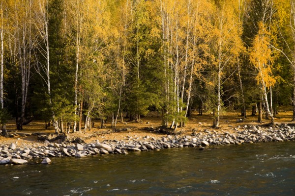 Xinjiang Province, Aletai,