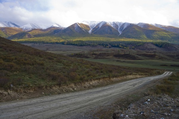 Altay Xinjiang, White Haba,