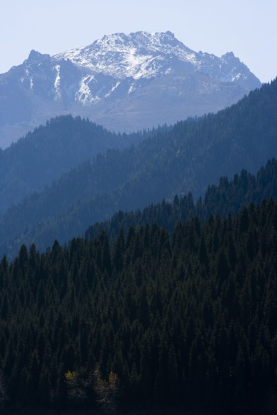 Urumqi, Xinjiang,Tien Shan Mountains,Heavenly Lake,