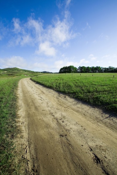 Bashang grassland in Inner Mongolia