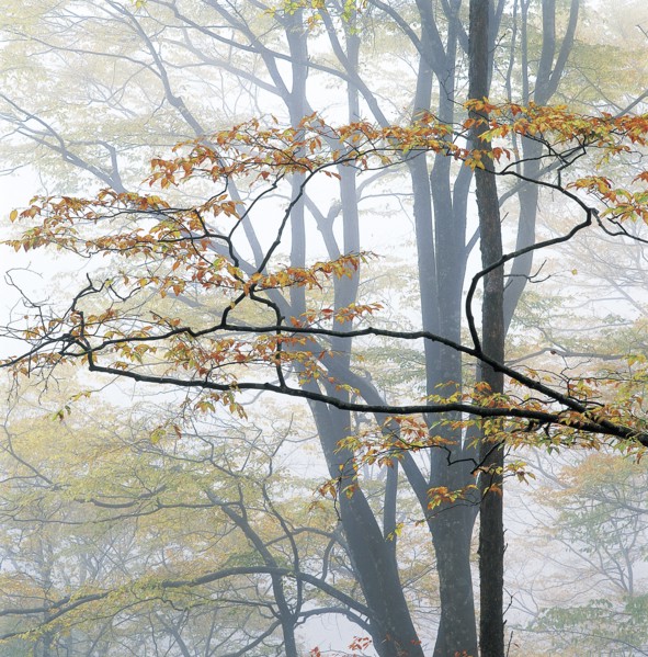 Sichuan Province,