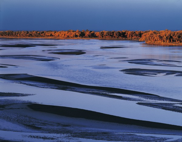 Xinjiang
