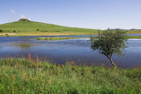 Bashang grassland in Inner Mongolia