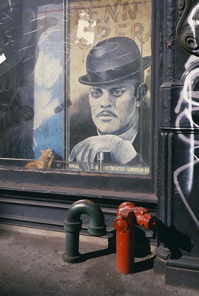 Cuchi White, Greenwich Village, New York, États-Unis, 1986-1988