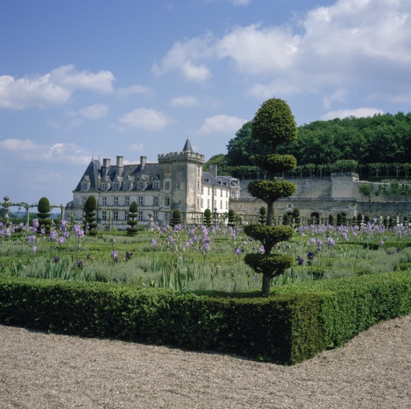 Park of the Château de Villandry, France