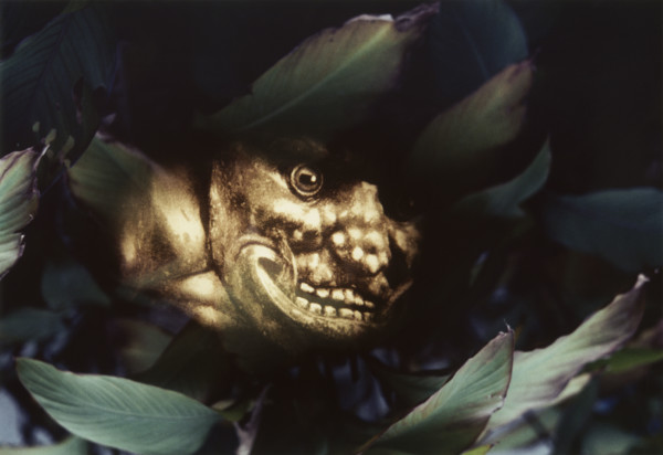 Double image, 1979-1999