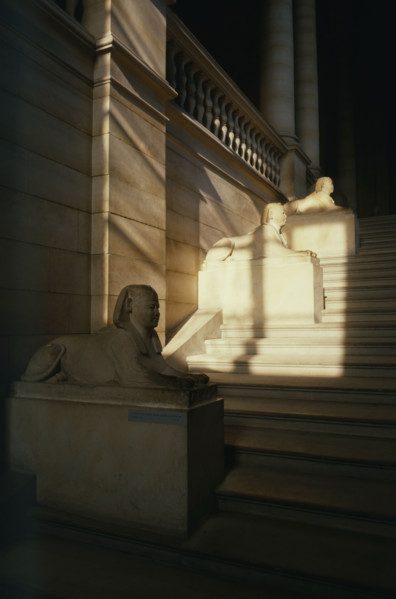 Sphinxes at the Louvre Museum
