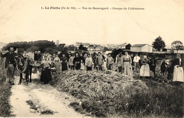 La-Flotte-en-Ré