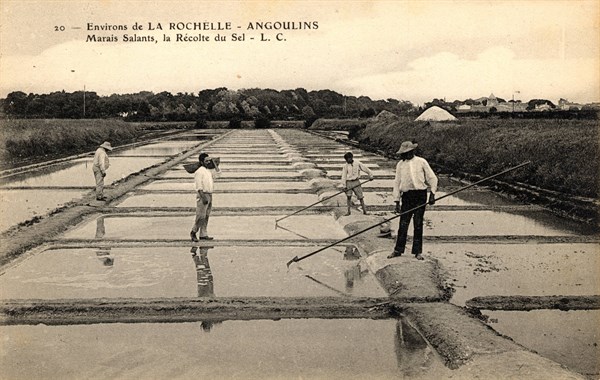 Salt harvest, salt marsh
Angoulins
