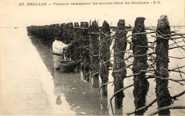 Pêcheur de moules
Brouage
