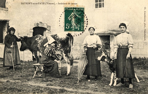 Savigny-sous-Faye